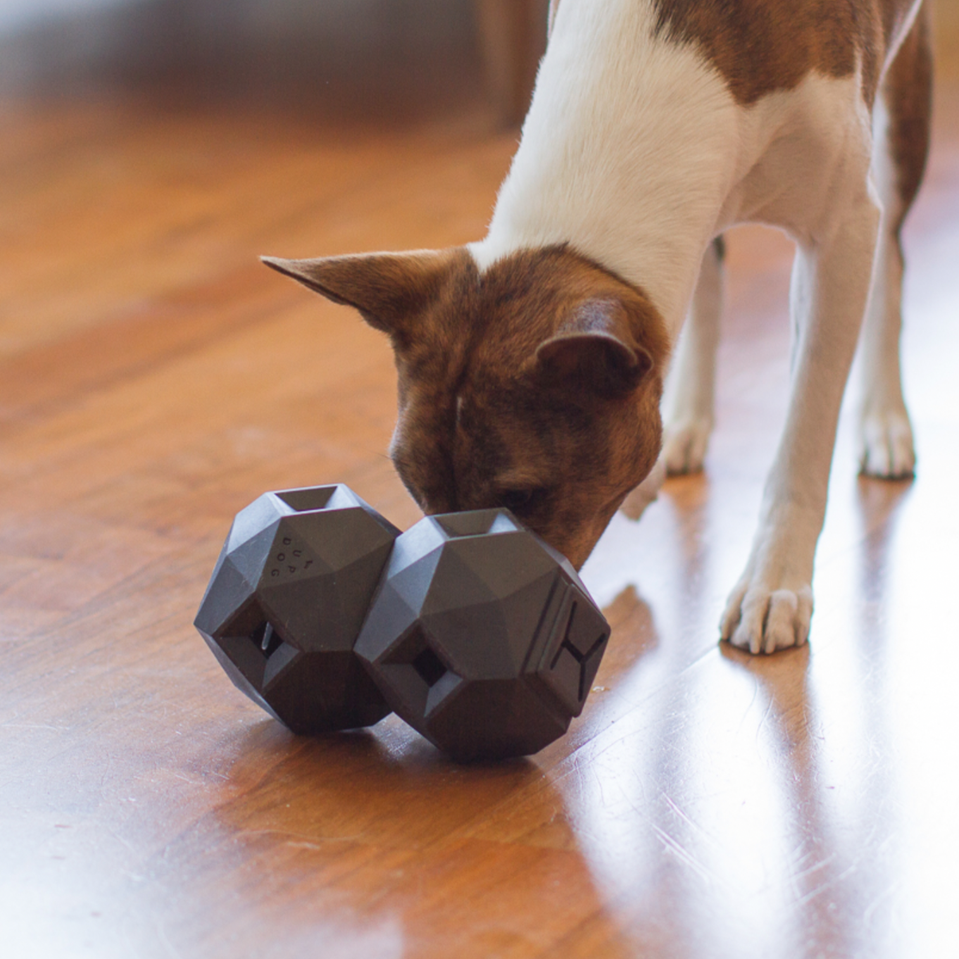 Black Modern Interactive Puzzle Dog Toy – Mutual Adoration + POST